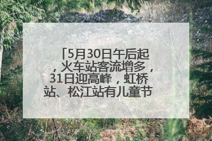 5月30日午后起，火车站客流增多，31日迎高峰，虹桥站、松江站有儿童节和端午亲子活动